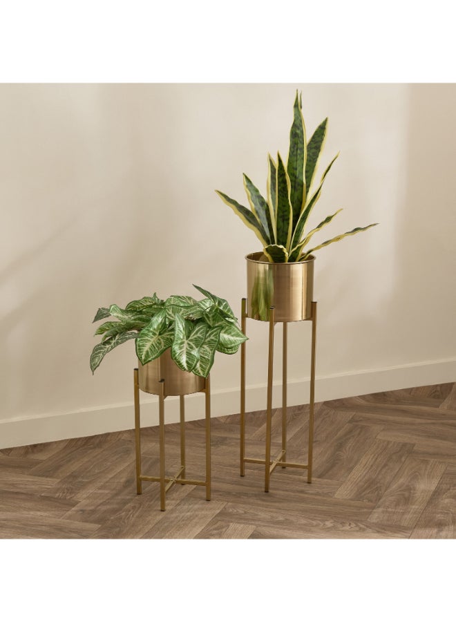 Home Box Premium Metal Planter Stand Set of 2 - Image 1